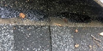 Flat Roofs Issues and Solutions